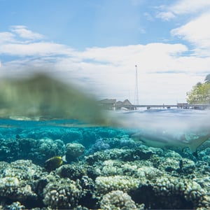 Fakarava South by SY