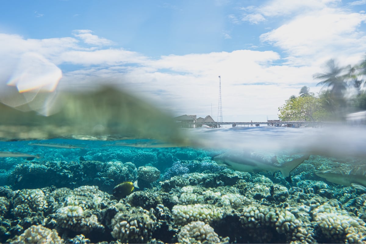 Fakarava Sud