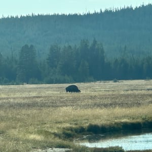 6 Sept 2024 - 17:17 by Matthew