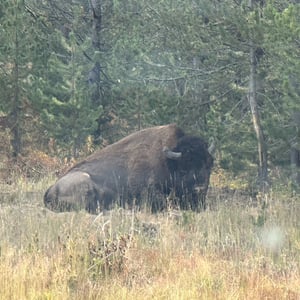 6 Sept 2024 - 17:17 by Matthew