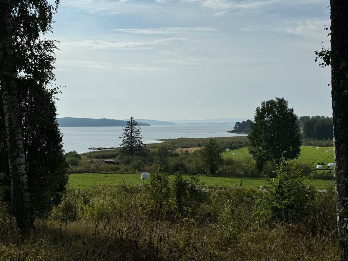 Lac à l'ouest d'Arvika, Suède