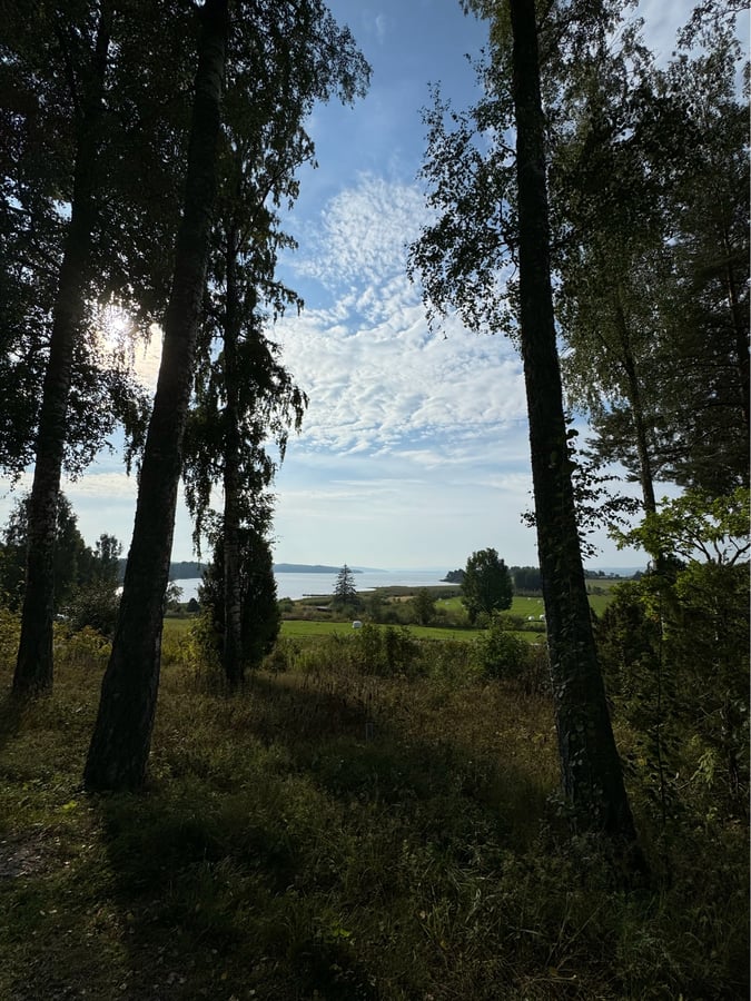 Lac à l'ouest d'Arvika, Suède