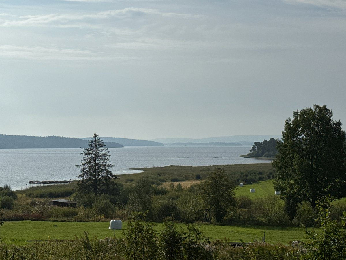 Lakeside West Of Arvika, Schweden