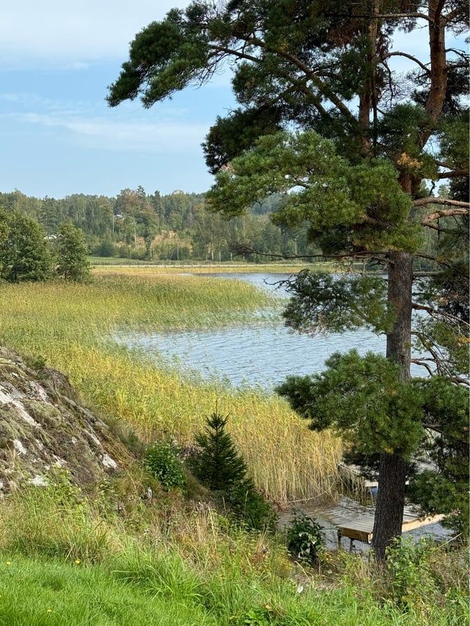 Arrêt à 35 km, Suède