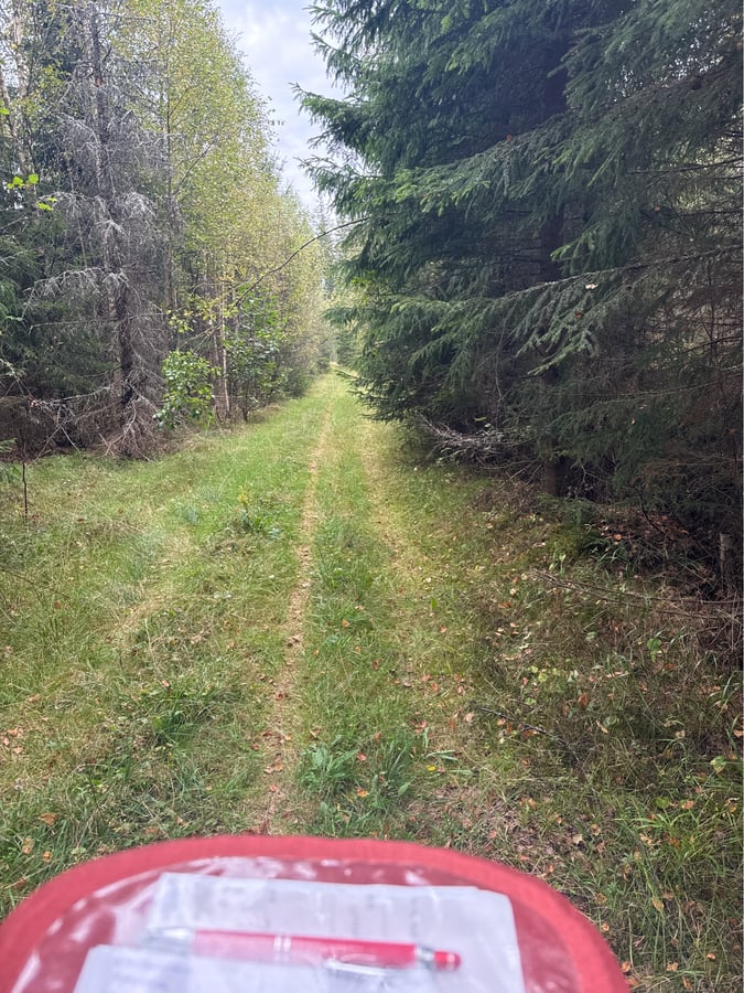 Wo bin ich?, Schweden
