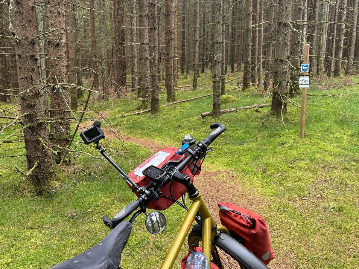 Wohin werde ich gebracht?, Schweden