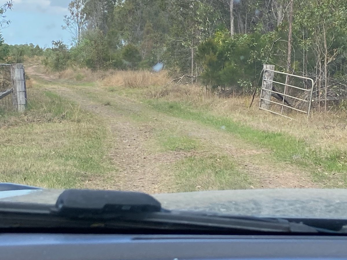 13 sept. 2024 - 07:42, Australie