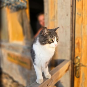 4 Oct 2024 - 06:17 by David