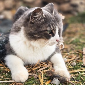 4 Oct 2024 - 06:17 by David