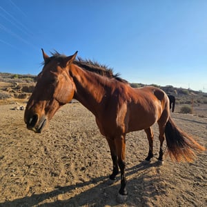 4 Oct 2024 - 06:17 by David