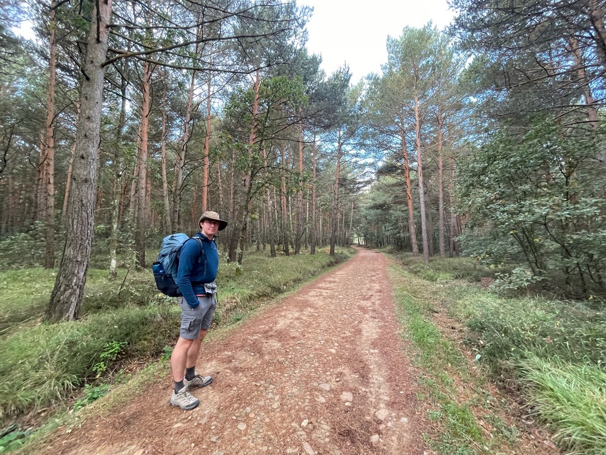 Pretty Forest Trail, Spain