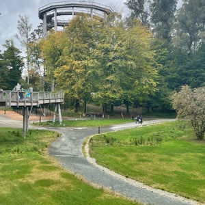 Avondale Tree Walk by mmalty