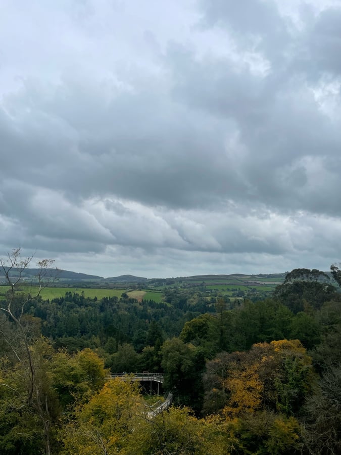 Avondale Tree Walk, Ireland