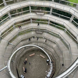 Avondale Tree Walk by mmalty