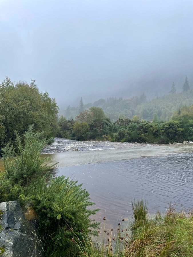 6 Oct 2024 - 20:51, Ireland