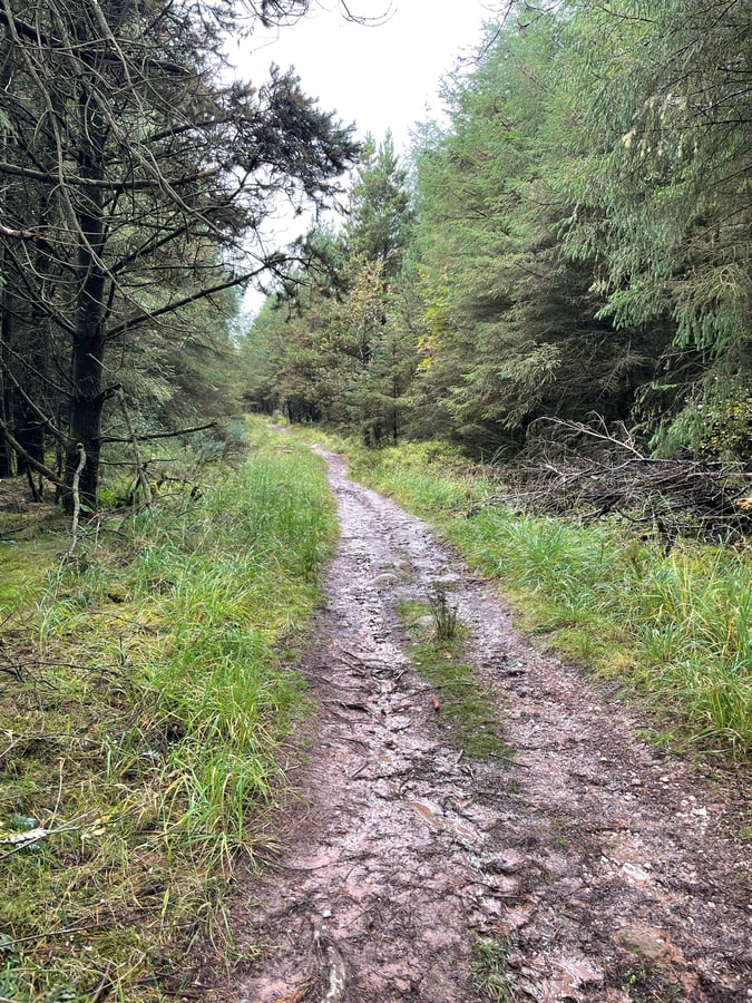 Aherlow Nature Trail, Ireland