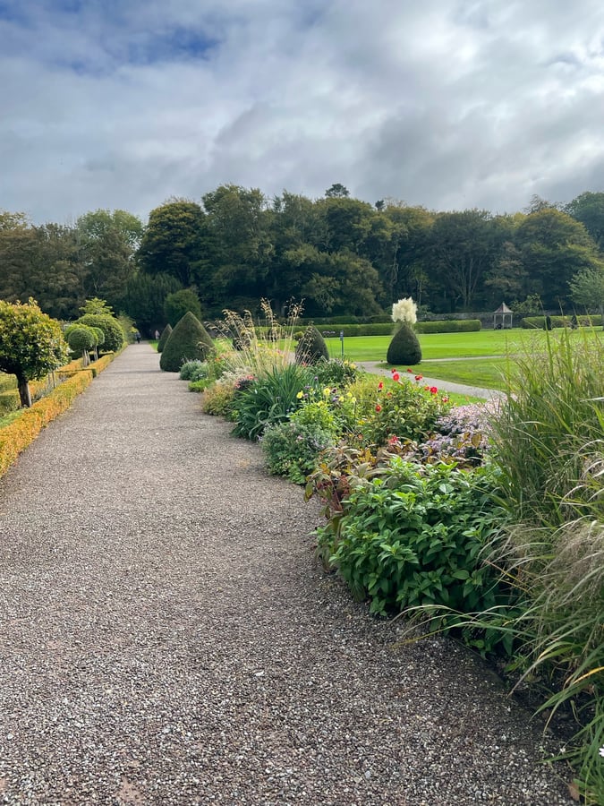 8 Oct 2024 - 14:37, Ireland