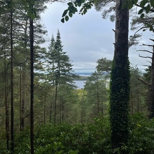 Torc Waterfall And Mountain by mmalty