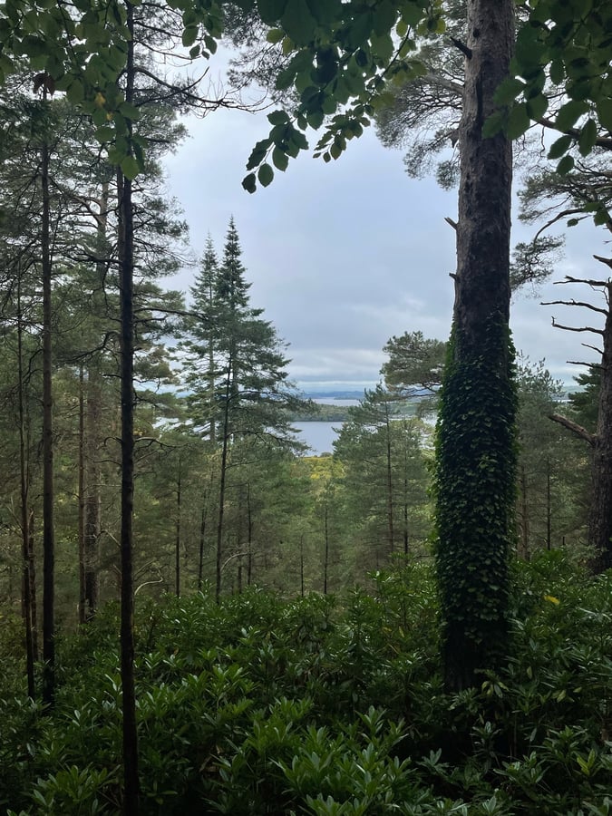 Cascata e montagna di Torc, Irlanda