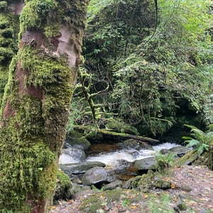Torc Waterfall And Mountain by mmalty