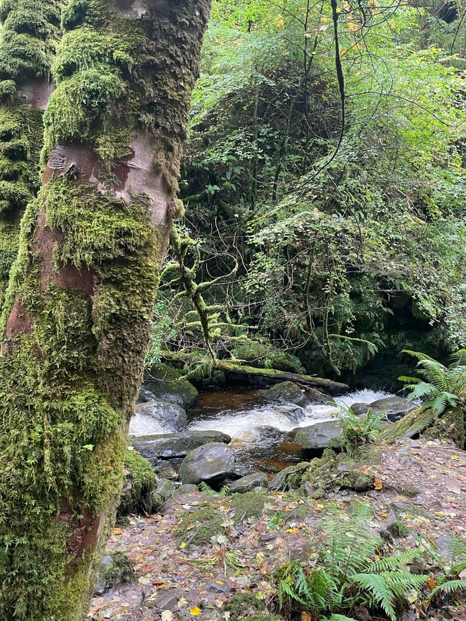 Cascata e montagna di Torc, Irlanda