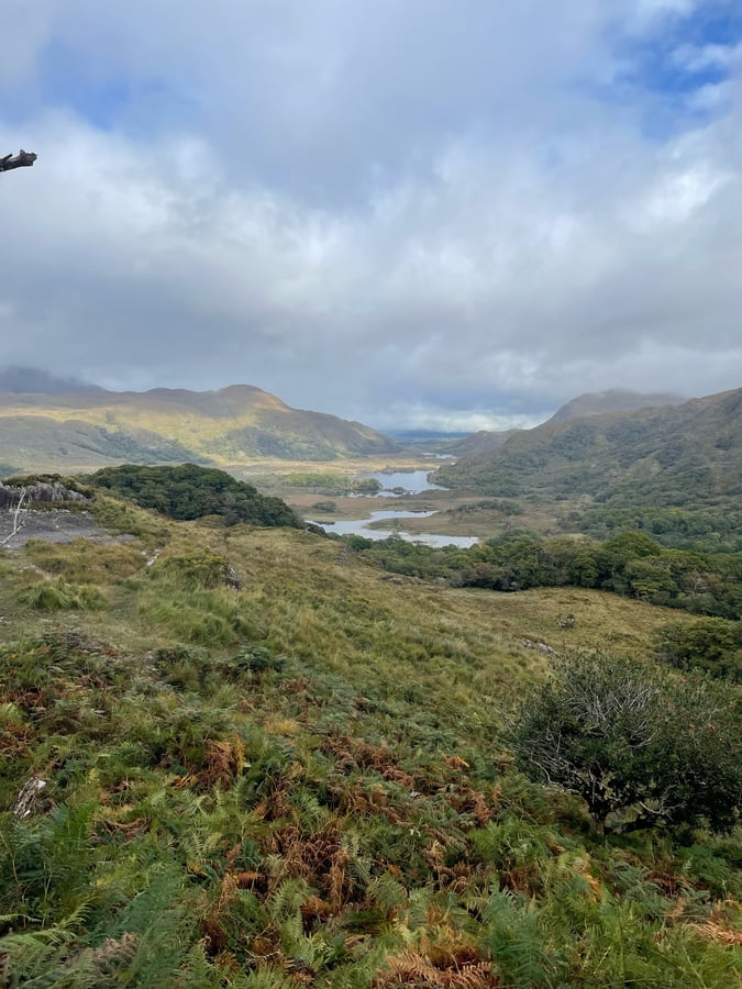 8 Oct 2024 - 14:41, Ireland