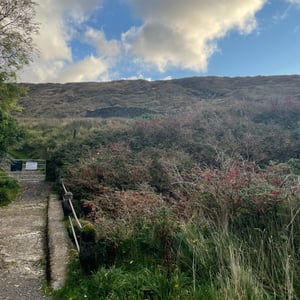 9 Oct 2024 - 09:05 by mmalty