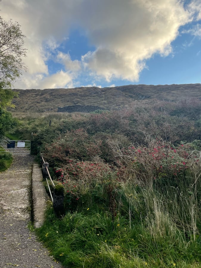 9 Oct 2024 - 09:05, Ireland