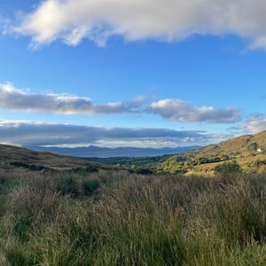 9 Oct 2024 - 09:05 by mmalty