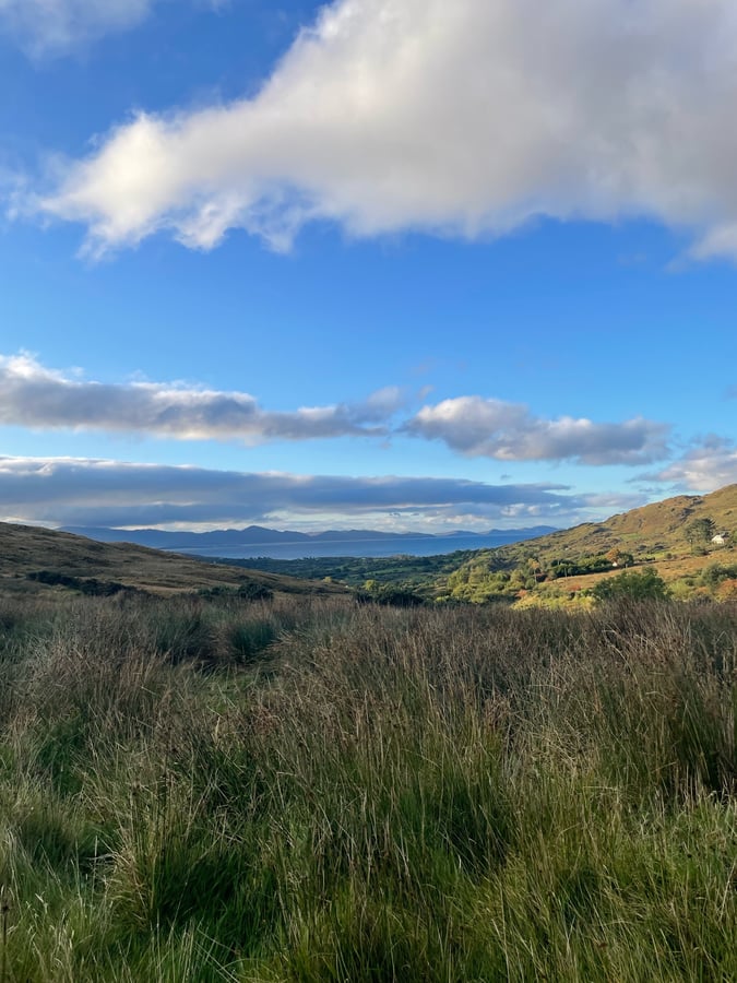 9 Oct 2024 - 09:05, Ireland