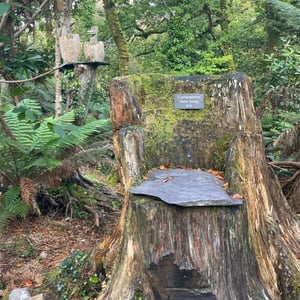 Kells Bay Garden by mmalty