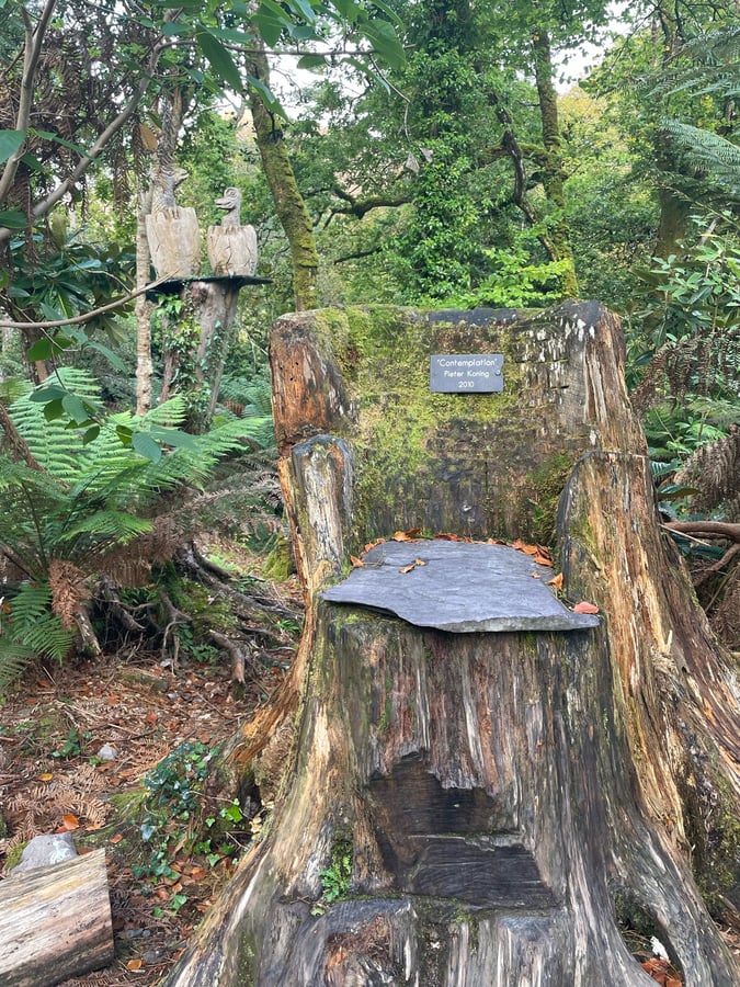 Kells Bay Garden, Ireland