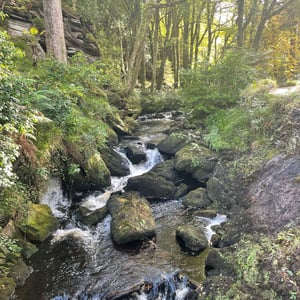 Kells Bay Garden by mmalty