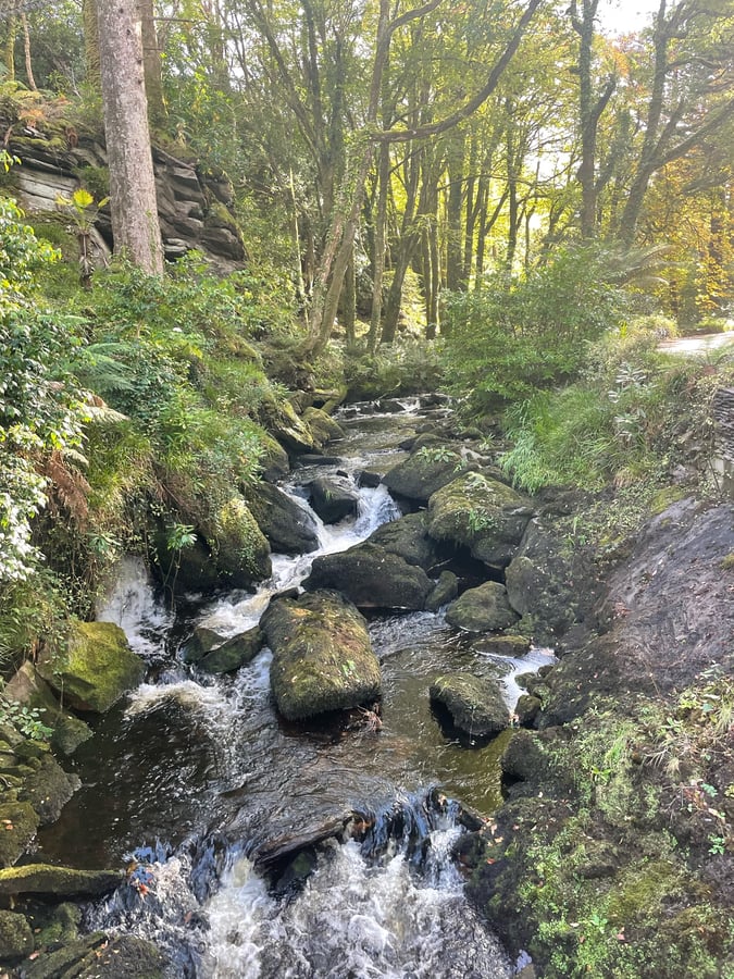 Kells Bay Garden, Ireland