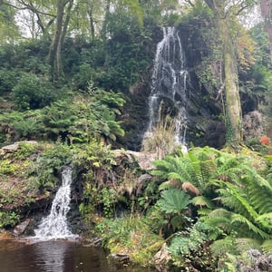 Kells Bay Garden by mmalty