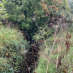 Glencarr Waterfall by mmalty