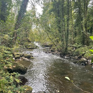 Clare Glenn&rsquo;s by mmalty