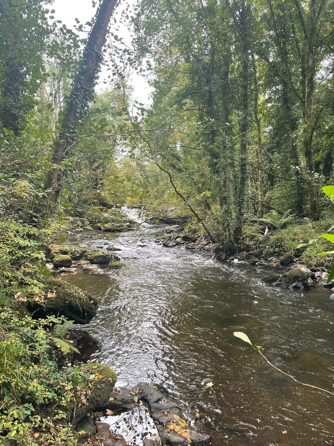 Clare Glenn’s, Ireland