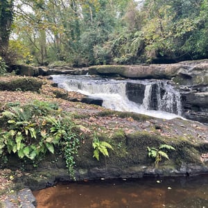 Clare Glenn&rsquo;s by mmalty