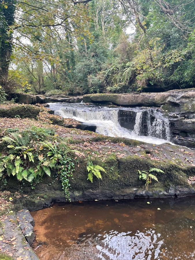 Clare Glenn’s, Ireland