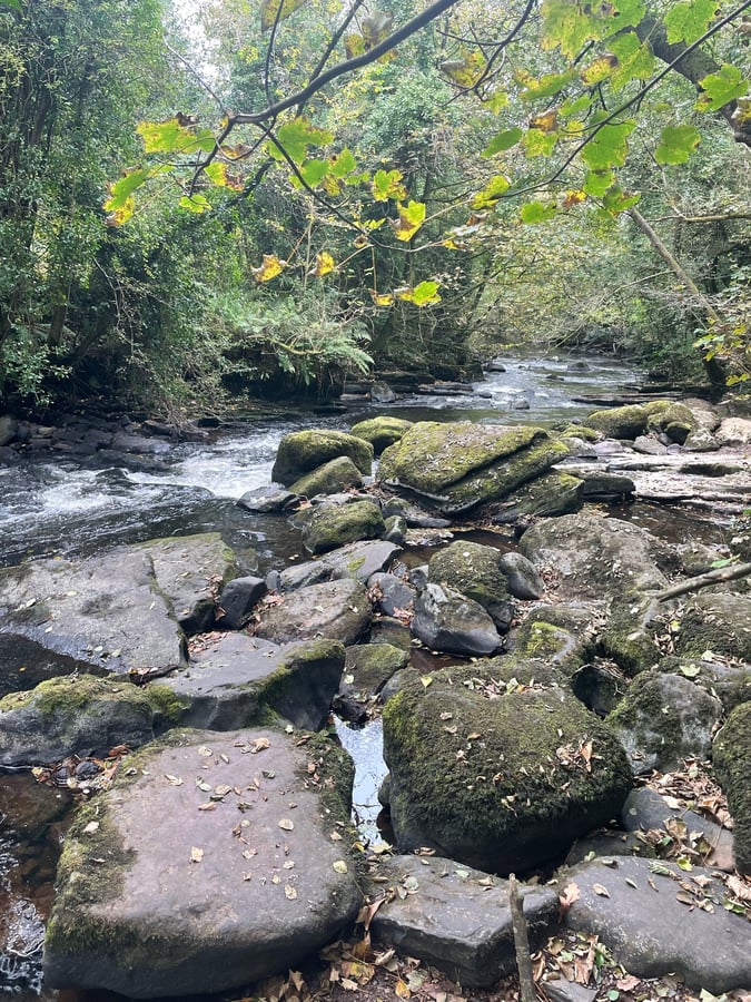 Clare Glenn’s, Ierland