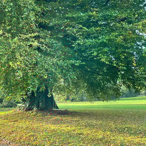 Springfield Castle by mmalty