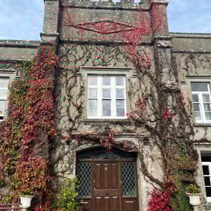 Springfield Castle by mmalty