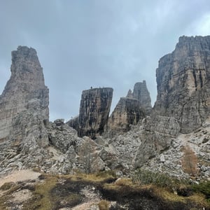 Five Bulls by mmalty