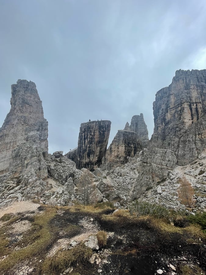 Five Bulls, Italy