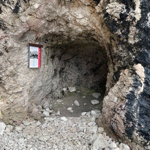 Five Bulls by mmalty