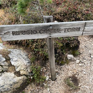 Five Bulls by mmalty