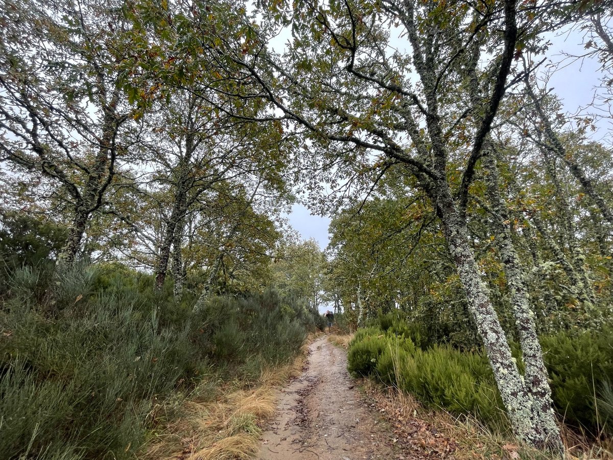 In die Kantabrischen Berge, Spanien