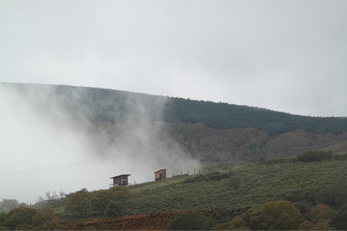 Nei Monti Cantabrici, Spagna