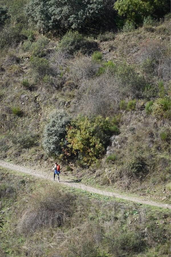 From Mist To Sunshine (More From Today), Spain